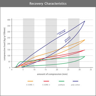 C-CORE's Recovery Characteristics graf
